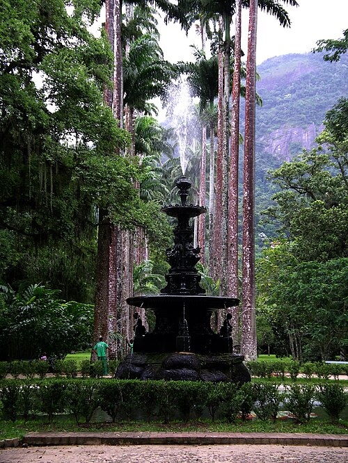 Botanical Garden of Rio de Janeiro